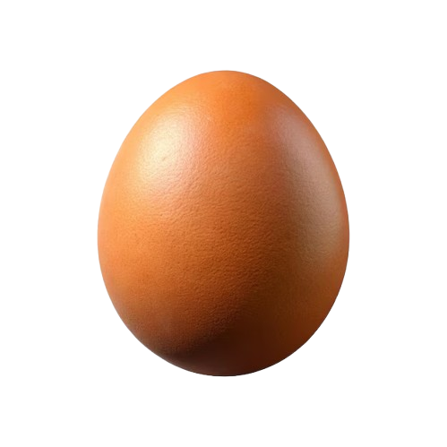 Egg